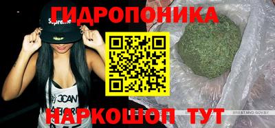 прущие крисы Краснодар