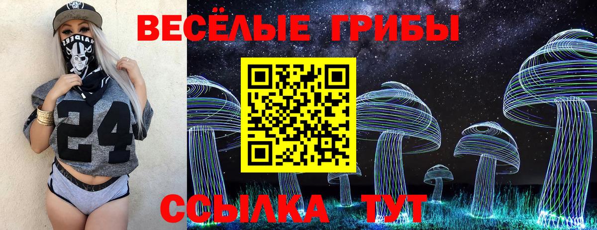 Галлюциногенные грибы Magic Shrooms Камышлов