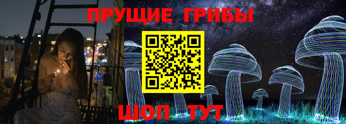 где купить наркоту  Псилоцибиновые грибы Psilocybe  Вход с VPN  Камышлов 