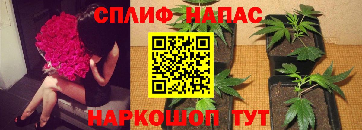 Бошки Шишки тримм Камышлов